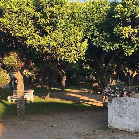 La Purissima Bed & Breakfast Alghero Bagian luar foto