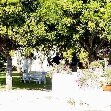 La Purissima Bed & Breakfast Alghero Bagian luar foto