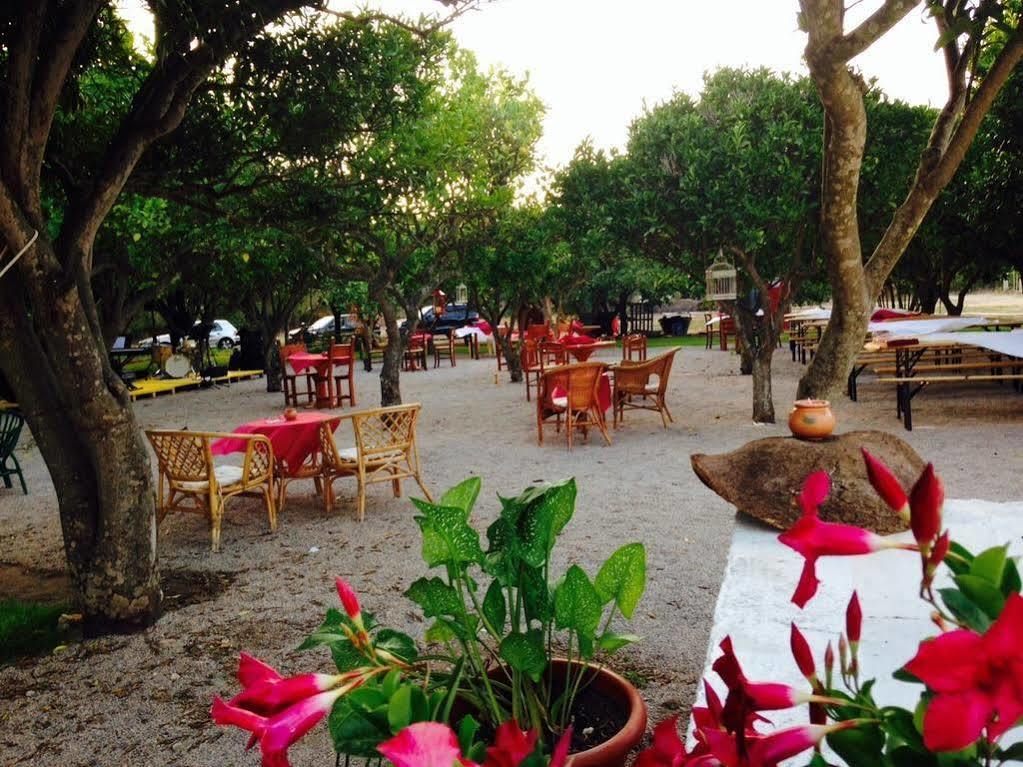 La Purissima Bed & Breakfast Alghero Bagian luar foto